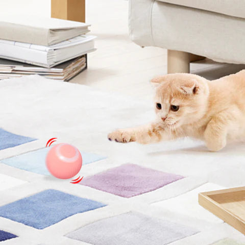Huisdier Interactieve Slimme Rollende Bal