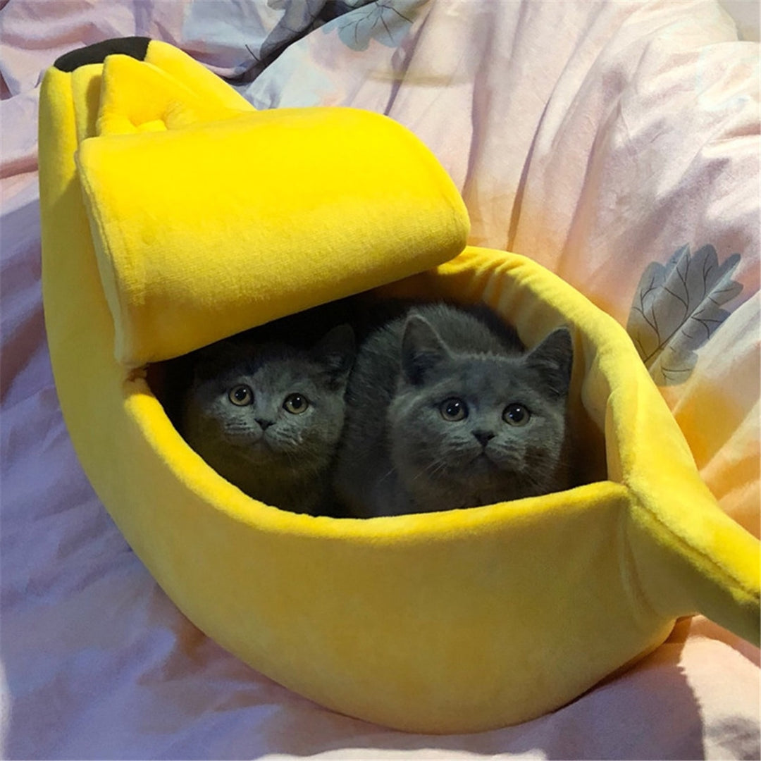 Bananen Schuilplaats Belleza