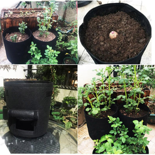 Planten Groeizak Belleza