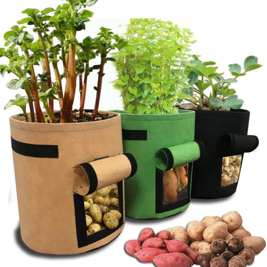Planten Groeizak Belleza
