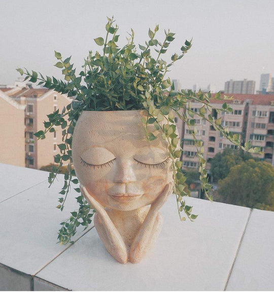 Charmante Bloempot voor Planten 5