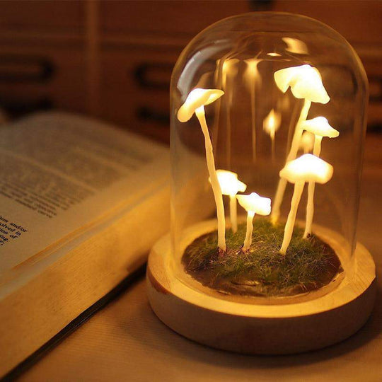 DIY Paddenstoelen Lamp voor Creatieve Projecten 0