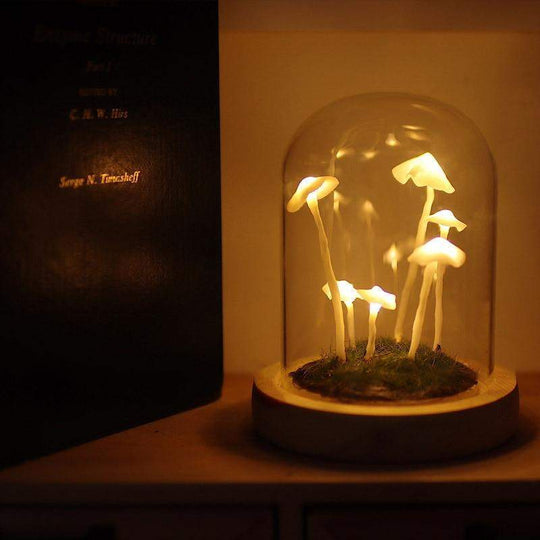 DIY Paddenstoelen Lamp voor Creatieve Projecten 1