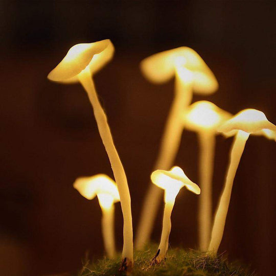 DIY Paddenstoelen Lamp voor Creatieve Projecten 6
