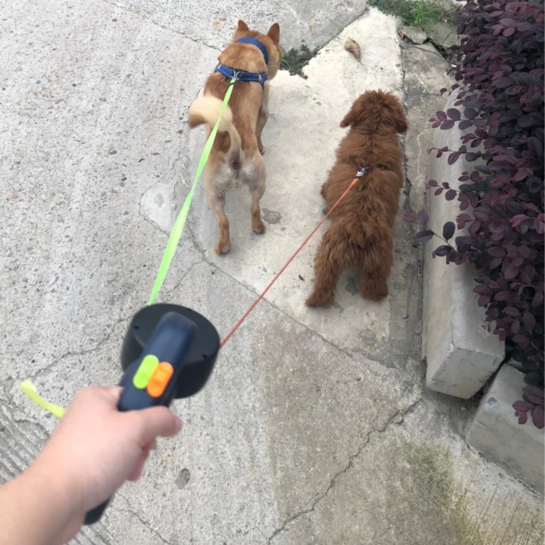 Dubbele Uittrekbare Hondenriem met Zaklamp 5