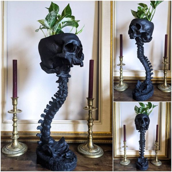 Gothic Planter met Schedel en Wervel voor Planten 0