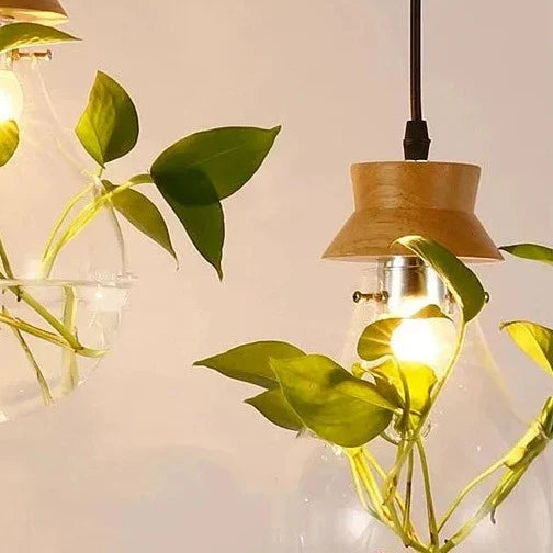 Hangerlamp voor Planten met Glazen Bol 6