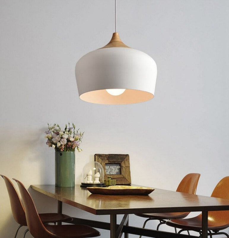Hanglamp Eettafel Minimalistisch Met Pastel Koepel 6