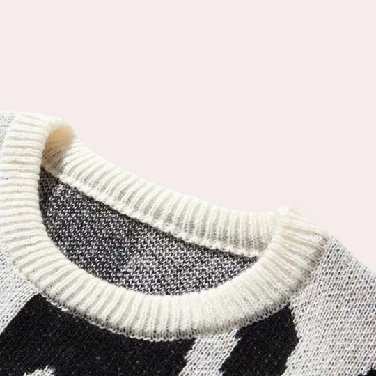 Heren Gebreide Trui Casual Stijl voor Herfst en Winter 4
