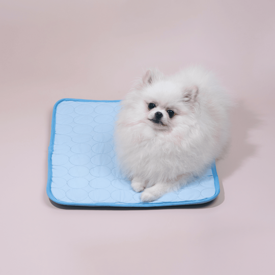 Honden Koelmat Innovatief Design 2