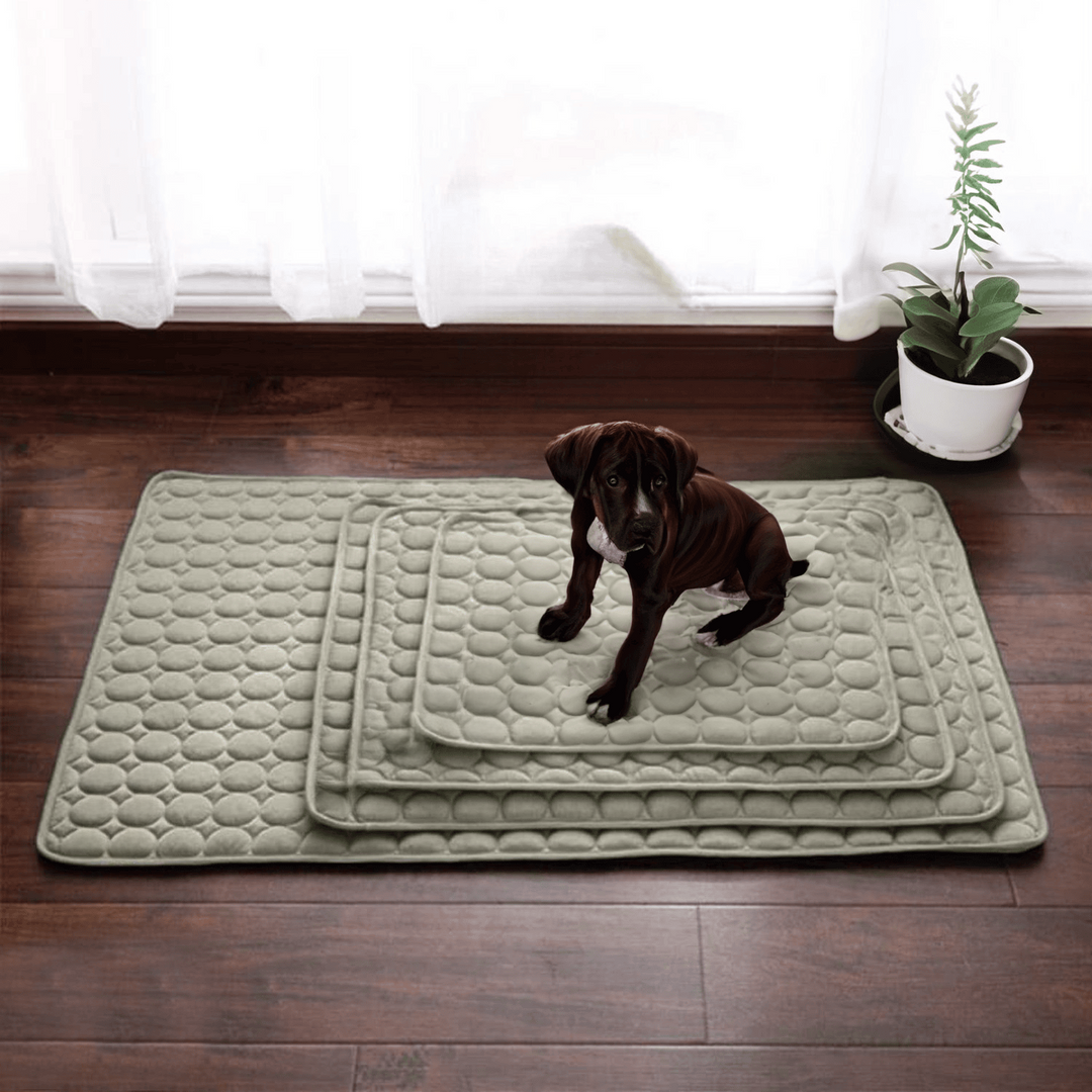 Honden Koelmat Innovatief Design 4
