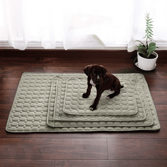 Honden Koelmat Innovatief Design 4