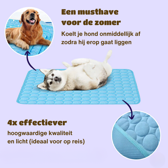 Honden Koelmat Innovatief Design 9