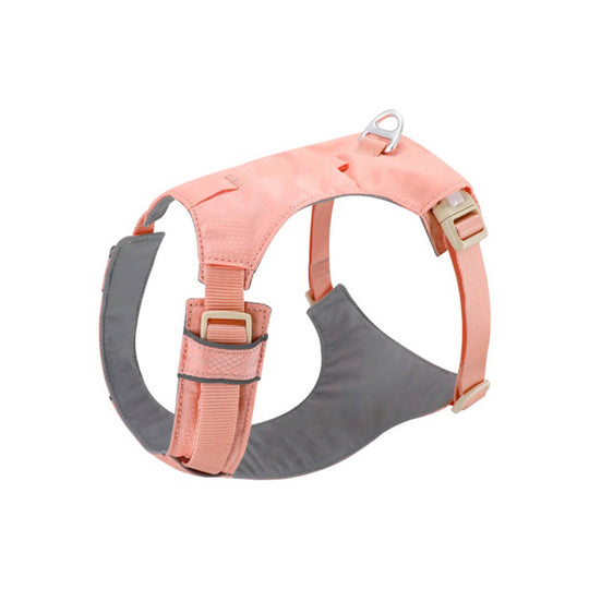 Hondentuig met Multifunctionele Riem voor Comfortabele Wandelingen 10