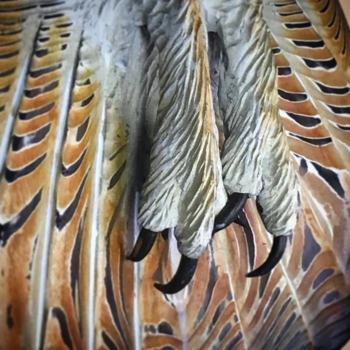 Houten Wanddecoratie Uil Majestic 7