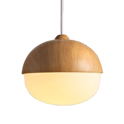 Moderne Hanglamp met Natuurlijke Accenten 0