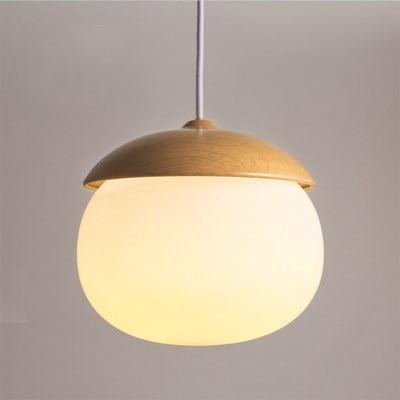 Moderne Hanglamp met Natuurlijke Accenten 2
