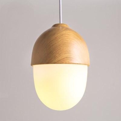 Moderne Hanglamp met Natuurlijke Accenten 4