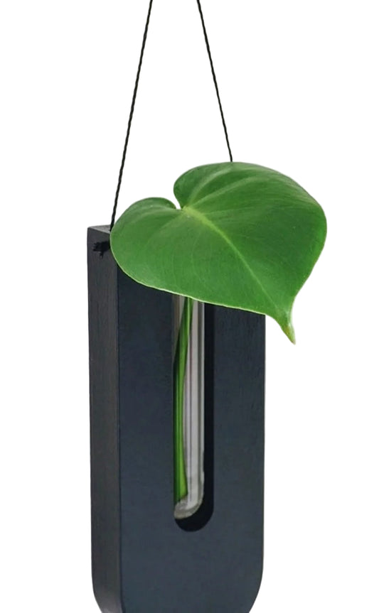 Set Wandplantenhouders Rustiek Hout 3