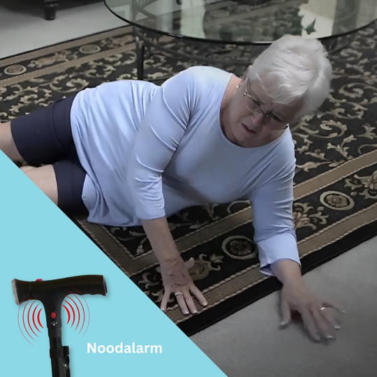 Wandelstok met LED-verlichting en dubbele handvatten 1