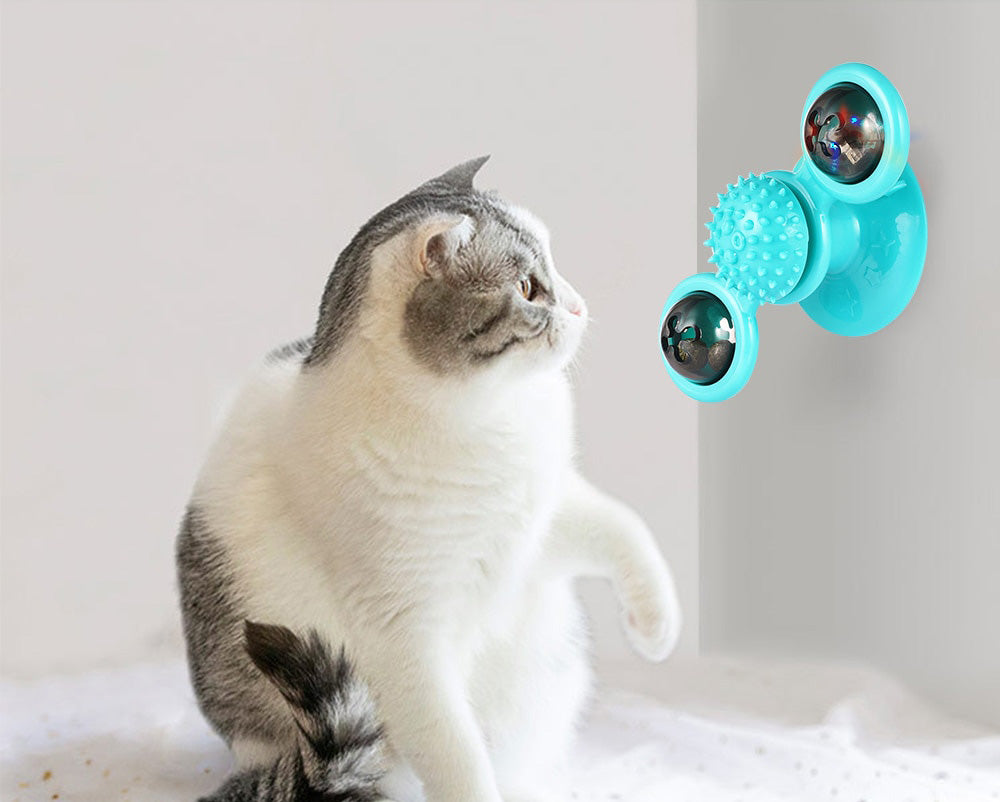 Windmolen Kattenspeeltje
