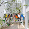 Gebrandschilderd glas vogel Suncatcher Belleza