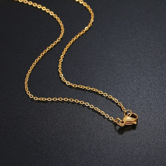 Roestvrij staal Ketting Ketting Belleza