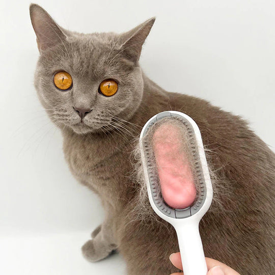 Huisdier Haar Verwijderaar Grooming Kam