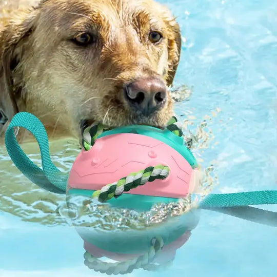 Interactieve frisbee bal hond speelgoed