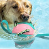 Interactieve frisbee bal hond speelgoed