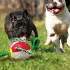 Interactieve frisbee bal hond speelgoed