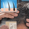 Biologische Haarverduisteringszeep