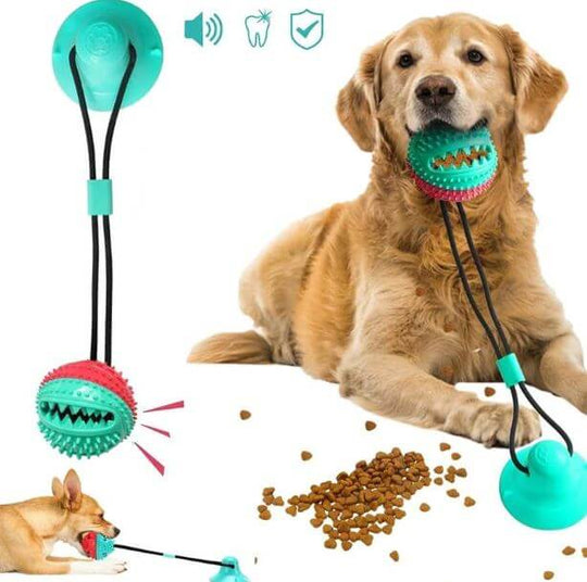 Interactief Hond Kauwen Toy