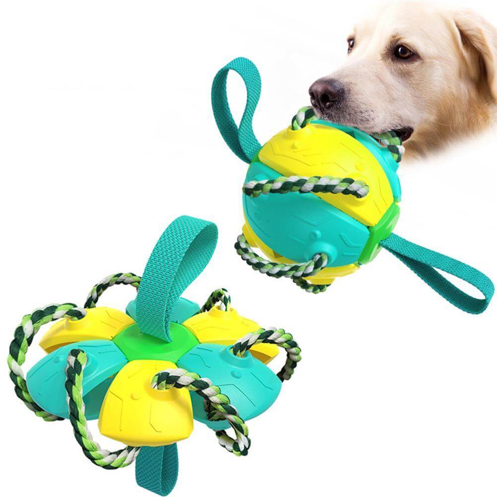 Interactieve frisbee bal hond speelgoed