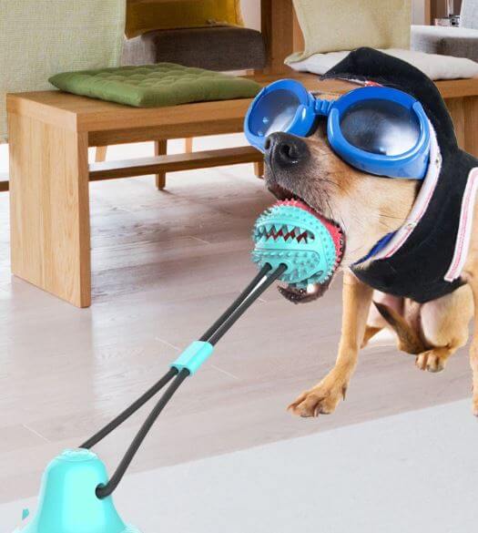 Interactief Hond Kauwen Toy