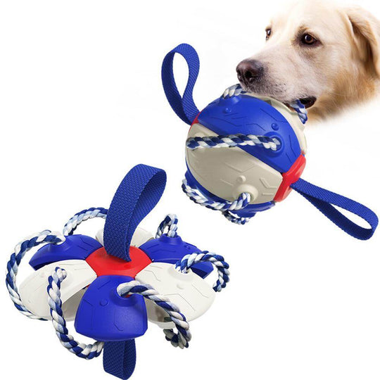 Interactieve frisbee bal hond speelgoed