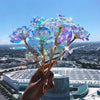 Enchanti Galaxy LED Rose Belleza