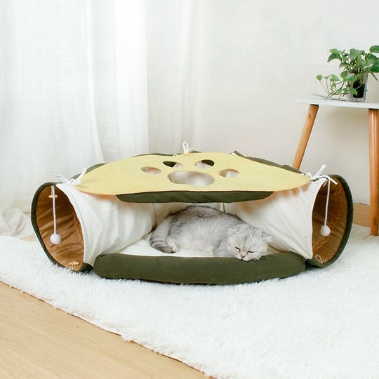 Cat Cav Belleza