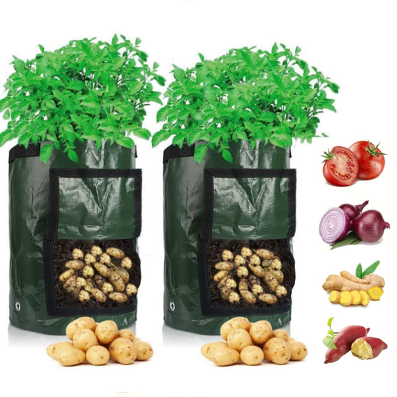 Aardappel Groeiende Zak Belleza