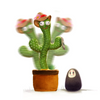 Dansende Cactus Belleza