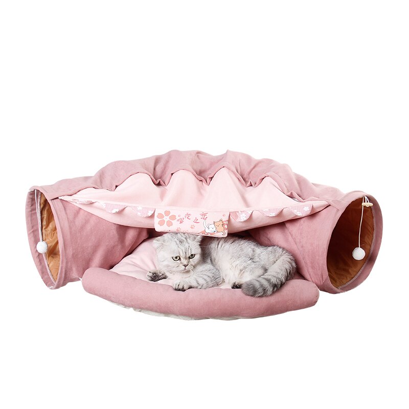 Cat Cav Belleza