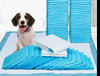 MagicPeePads - Ultieme zindelijkheidstraining tool voor het baasje en de hond!