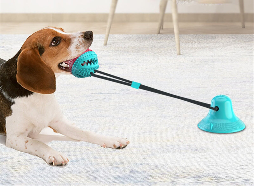 Interactief Hond Kauwen Toy