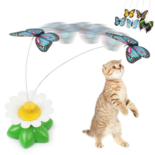 Interactief Katten Speeltje dieren