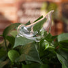 Zelf-drenkende Plantenbol Belleza