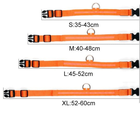 LED Halsband