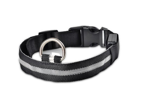 LED Halsband