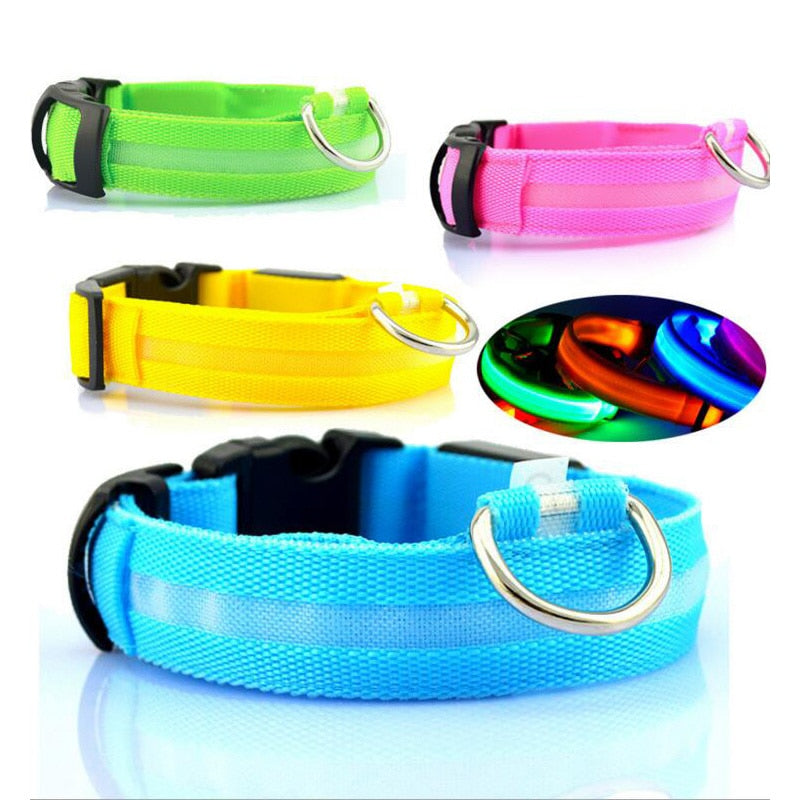 LED Halsband