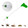 Insectenvanger