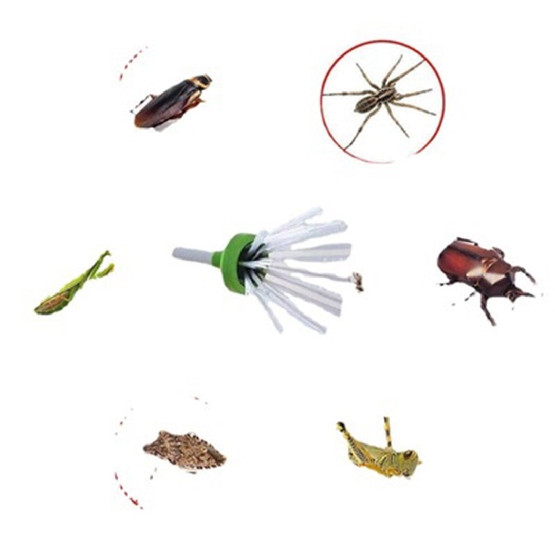 Insectenvanger